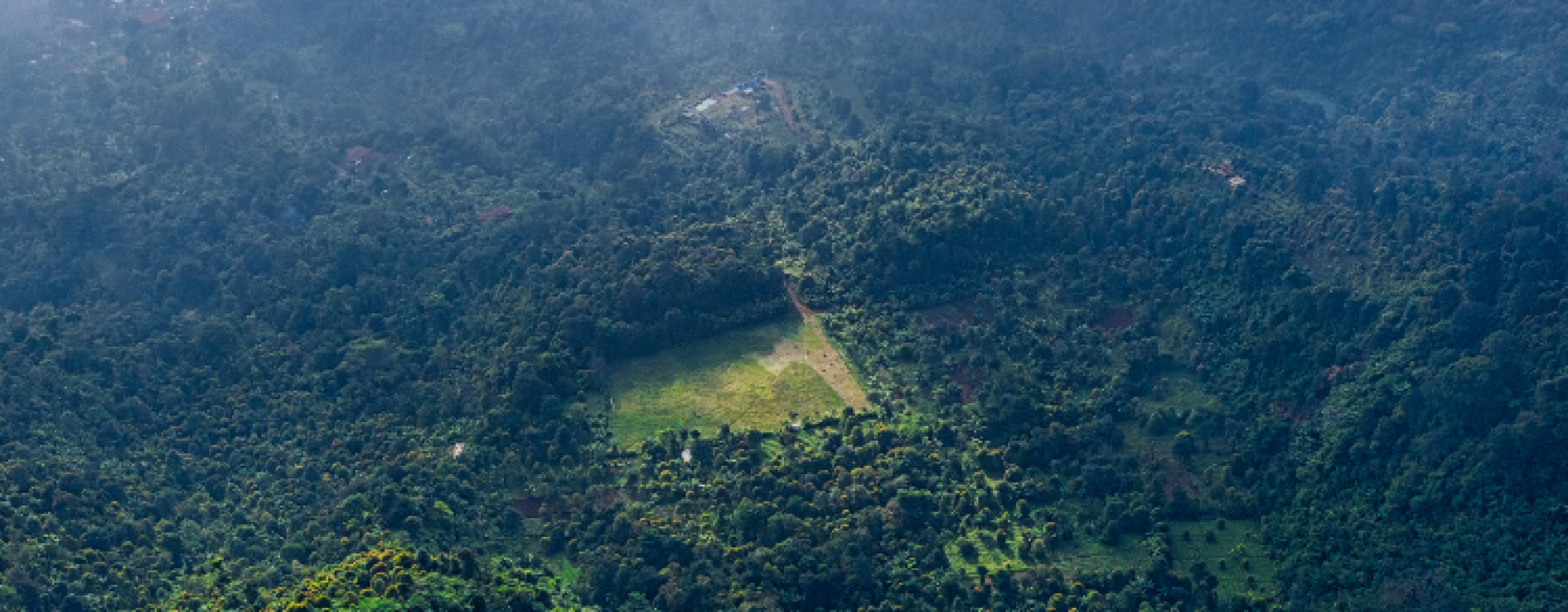 Foresta Đắk Nông