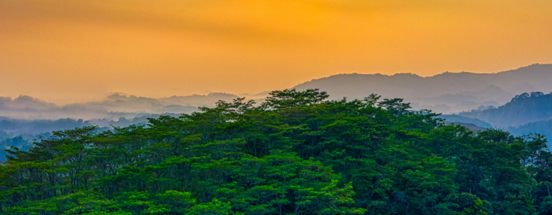 Foresta Đắk Nông 2