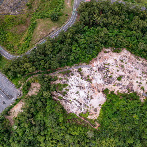 Cao Dưỡng Thảo Mộc – Herbal Balm